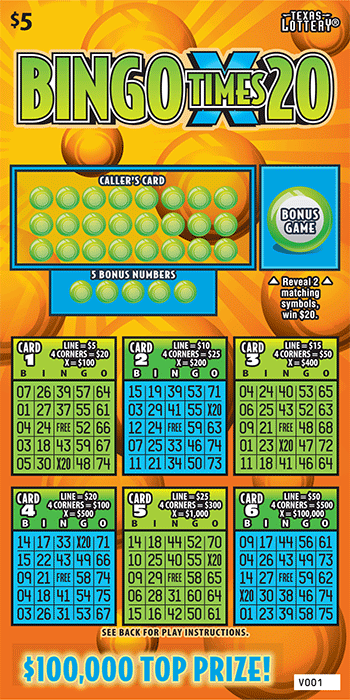 Image of Front of Bingo Times 20 Ticket