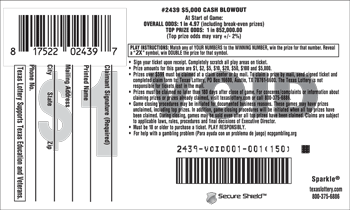 Image of Back of $5,000 Cash Blowout Ticket