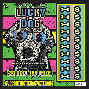 Image of Front of Lucky Dog/Cool Cat Ticket