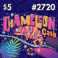 View Ticket Details for Chameleon Cash